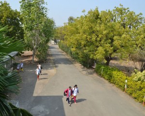 aerial view of campus